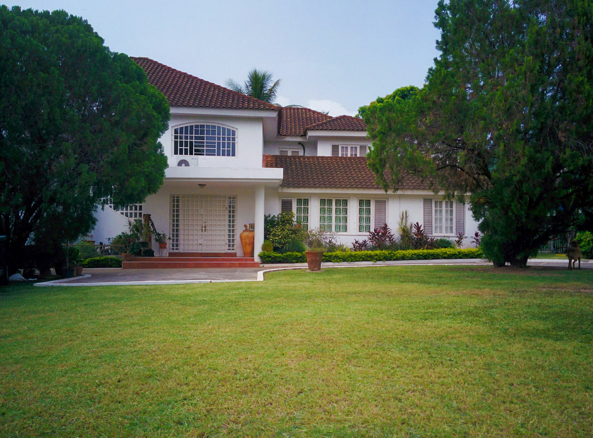 Chester Avenue Guest House Kingston Esterno foto